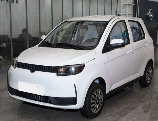 Eco Friendly COCO Electric Car 100km/H Lithium Battery For Young People