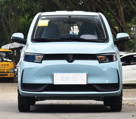 5 Seats Small Electric Car 30kW 21.96kWh Battery Slow Charge 9h With A/C