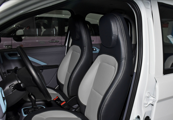 5 Seats Small Electric Car 30kW 21.96kWh Battery Slow Charge 9h With A/C
